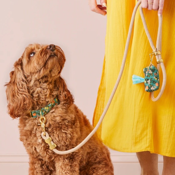 *SOLD* NWT Foggy Dog Marine Rope Petite Leash in Flax - Picture 5 of 5